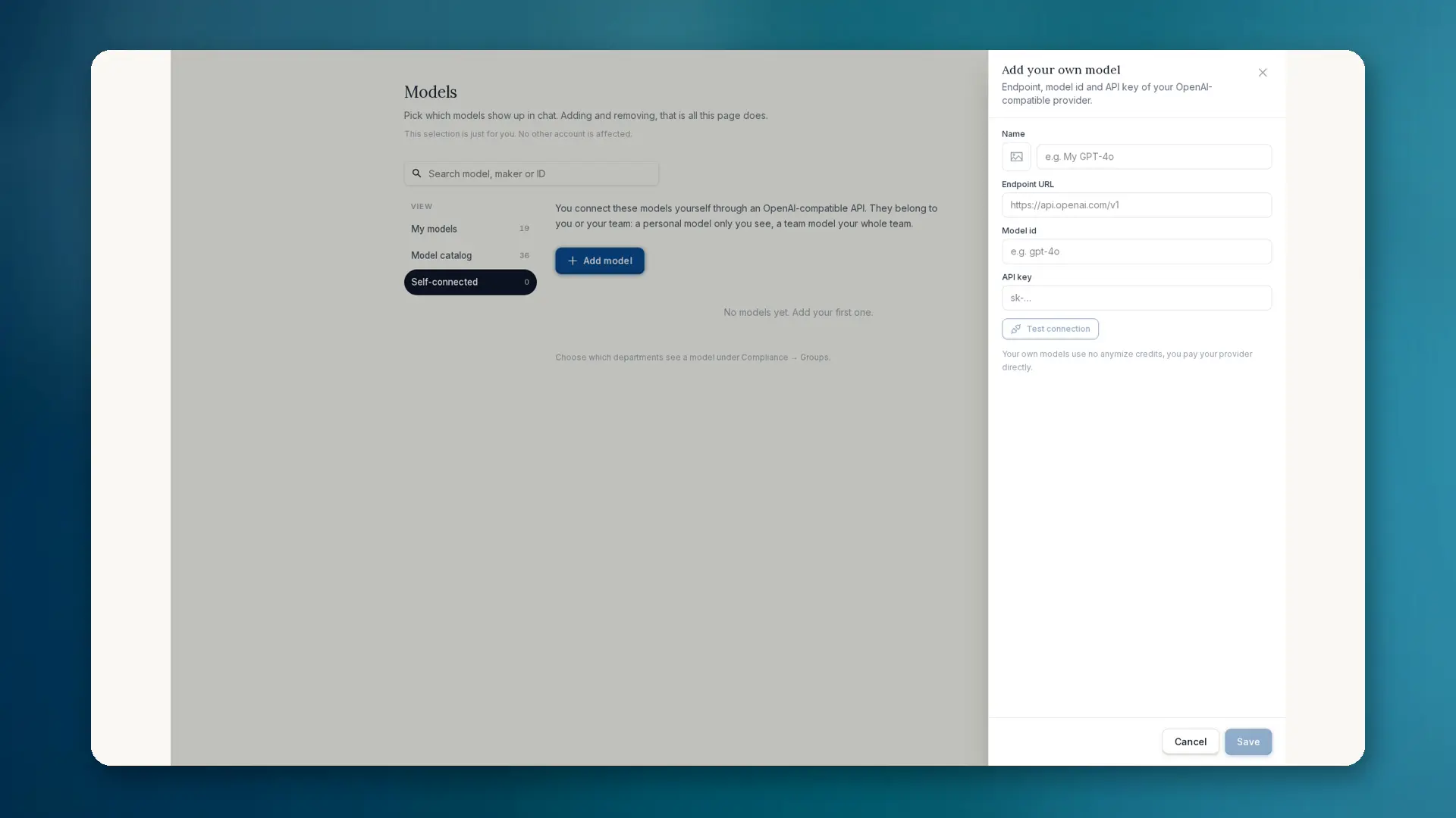 Add your own model form: Name, Endpoint URL, Model id, API key, and Test connection.