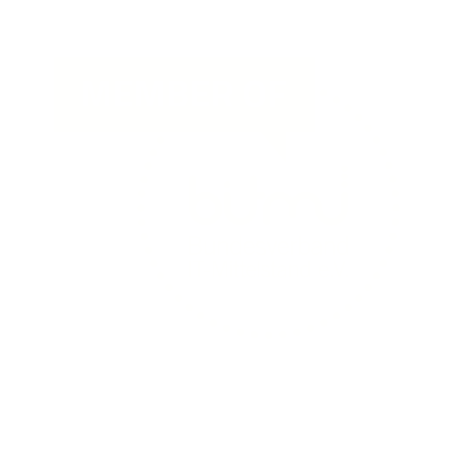 Member of BITMi